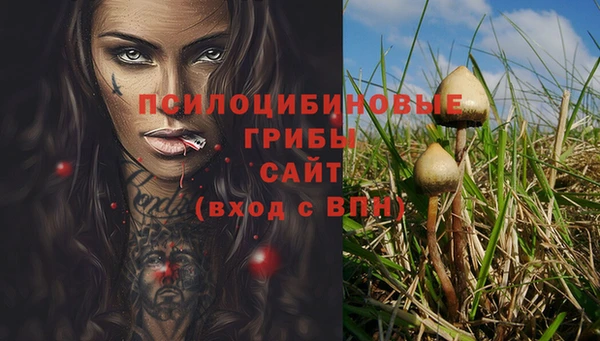 jwh Арсеньев
