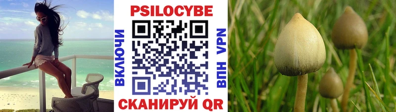 kraken ONION  Новотроицк  Псилоцибиновые грибы мицелий 